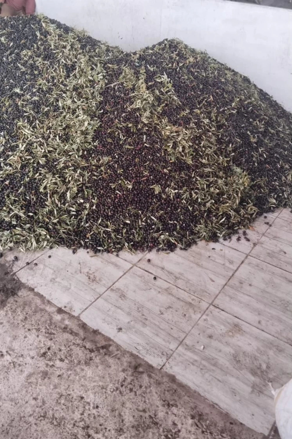 Nizip Zeytinyağı - 17 Litre